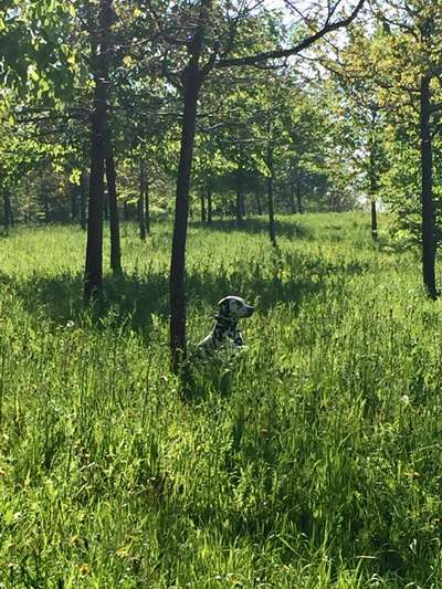 Farben Fotochallenge Thema ,,Grün"-Beitrag-Bild