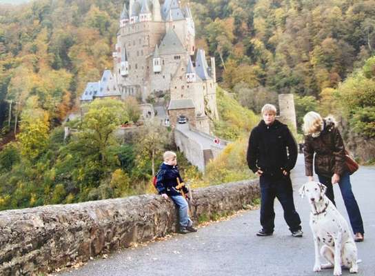 Unsere Fellnasen im Regenbogenland-Beitrag-Bild