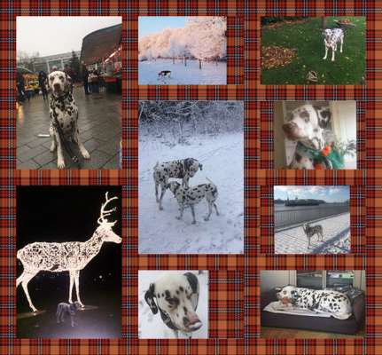 13. Collage- Challenge 
Beschäftigung in der kalten Jahreszeit-Beitrag-Bild