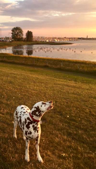 FOTOCHALLENGE 86-Beitrag-Bild