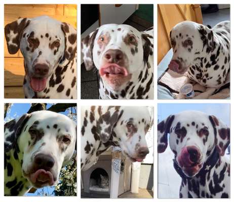 18. Collagen Challenge - Zunge raus!-Beitrag-Bild