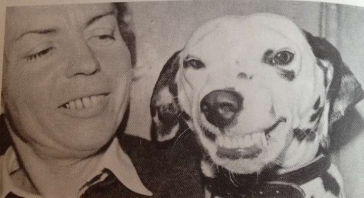 12. Collagen Challenge - Auslastung/Training-Beitrag-Bild