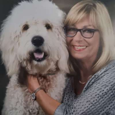 Hundetreffen-Siegfrieds Hundefreunde treffen wir auf der Hundewiese  Koblenz-Profilbild