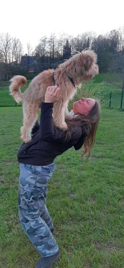 Mischlinge raten - Rätselspaß-Beitrag-Bild