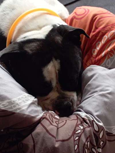 FOTO-Challenge  NR. 91: Die pure Entspannung-Beitrag-Bild