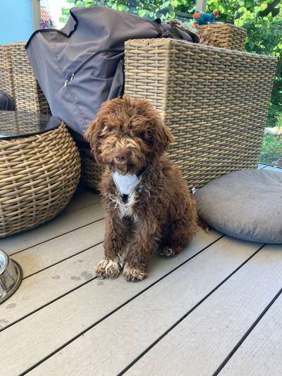 Ach, wie schnell die Zeit vergeht-Beitrag-Bild