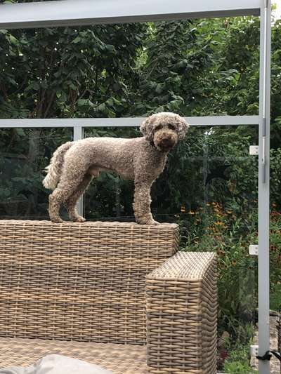 Ach, wie schnell die Zeit vergeht-Beitrag-Bild