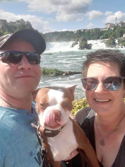 Hundmenschfotos-Beitrag-Bild