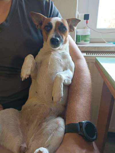 Fotochallenge Nr.65-Beitrag-Bild