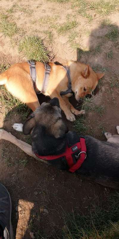 Lieblingsbild-Beitrag-Bild