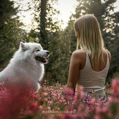 Giftköder-FOTOSHOOTING-Bild