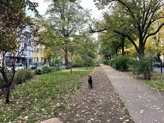 Hundeauslaufgebiet-Yorckstraße-Bild