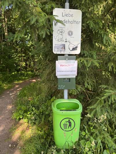 Giftköder-Eichenprozessionsspinner-Bild