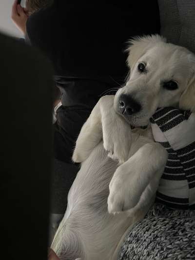 Handy-Foto Challange Nr. 10-Beitrag-Bild