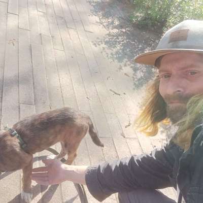 Hundetreffen-Kommt gern zum neuen Hundeplatz Frankfurter Allee ecke Gürtelstr.