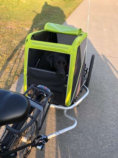 Radfahren mit Hund-Beitrag-Bild