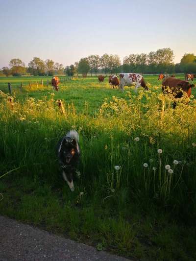 Farben Fotochallenge Thema ,,Grün"-Beitrag-Bild