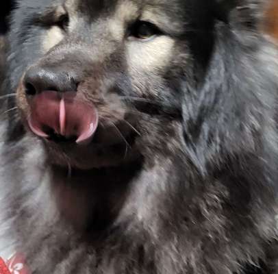 42. Handy Fotochallenge - Den richtigen Riecher haben-Beitrag-Bild