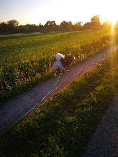 Farben Fotochallenge Sonnenlicht-Beitrag-Bild