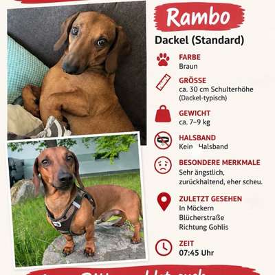 Suchmeldung-Rambo-Bild