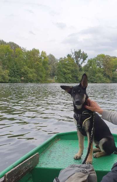 Dogorama-Monats-Challenge-Mai "Wasser"-Beitrag-Bild