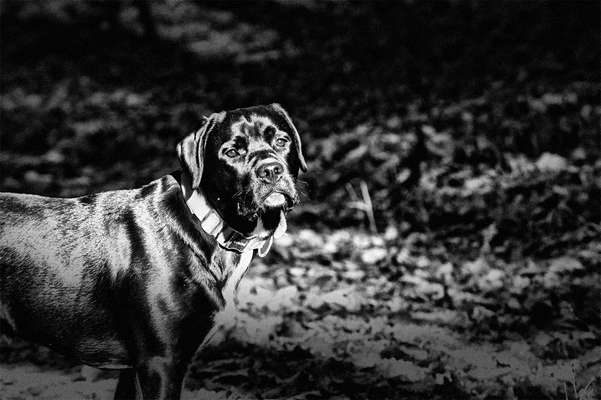 3. Farben/Fotochallenge: Schwarz/Weiß-Beitrag-Bild