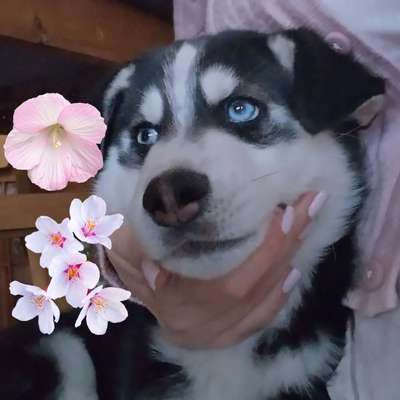 Veronika's Profilbild