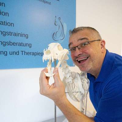 Medizinische Dienstleistung Bild