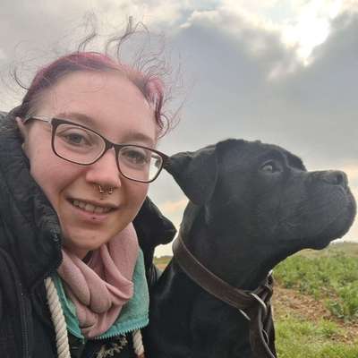 Hundetreffen-Hunderunde Mittags-Profilbild