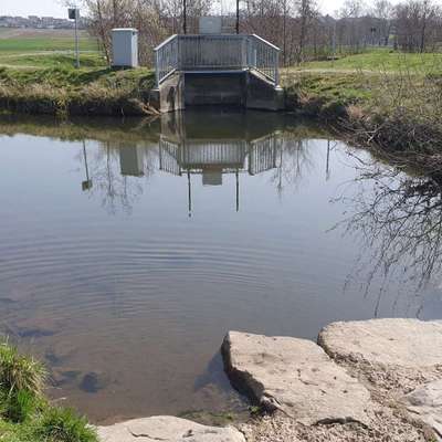 Hundeauslaufgebiet-Sandfang Kirchhain-Bild