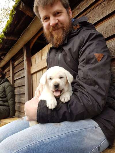 Als Welpen sind sie alle noch süßer-Beitrag-Bild