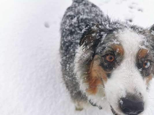 Verspielt-Beitrag-Bild