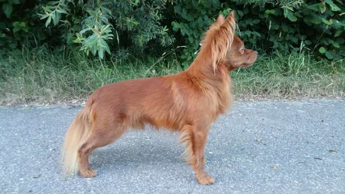 Doppelgänger gesucht !-Beitrag-Bild