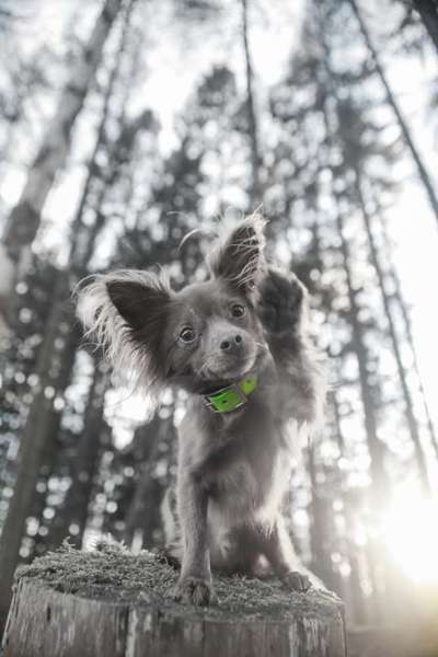 6. Farben Foto Challenge: "ColourKey Effekt"-Beitrag-Bild