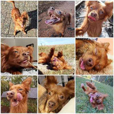 18. Collagen Challenge - Zunge raus!-Beitrag-Bild