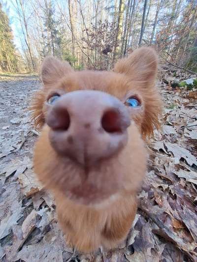 42. Handy Fotochallenge - Den richtigen Riecher haben-Beitrag-Bild