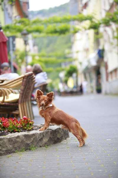 30. Collagen Challenge - Wege/Straßen-Beitrag-Bild