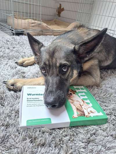 35.Collagen Challenge:„Bettelblick"-Beitrag-Bild