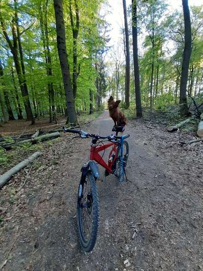 30. Collagen Challenge - Wege/Straßen-Beitrag-Bild