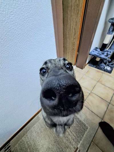 42. Handy Fotochallenge - Den richtigen Riecher haben-Beitrag-Bild