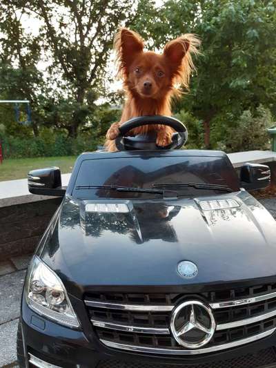 121. Fotochallenge-Beitrag-Bild