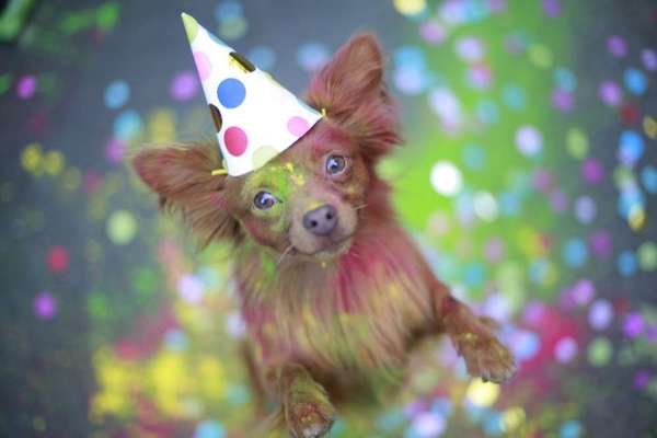 4. Farben/Fotochallenge:          Bunt und Farbenfroh-Beitrag-Bild