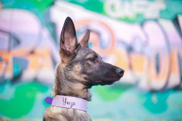 4. Farben/Fotochallenge:          Bunt und Farbenfroh-Beitrag-Bild