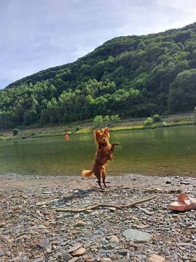 35. Handy Foto Challenge - Das nasse Element-Beitrag-Bild