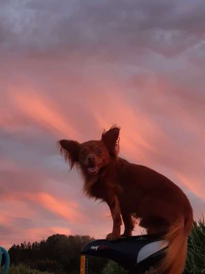 Sonnenaufgänge oder - untergänge-Beitrag-Bild
