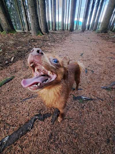 30. Collagen Challenge - Wege/Straßen-Beitrag-Bild