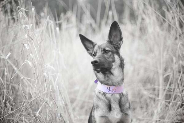 6. Farben Foto Challenge: "ColourKey Effekt"-Beitrag-Bild