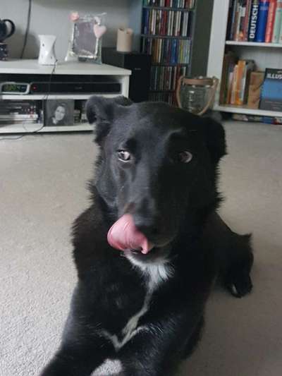 Un...scharf Bilder-Beitrag-Bild