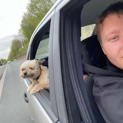 Hundetreffen-Am liebsten kleine bis mittlere Hunde🤷🏼‍♂️🙈-Profilbild