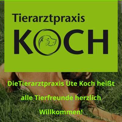 Tierärzte-Koch Ute Tierarztpraxis-Bild